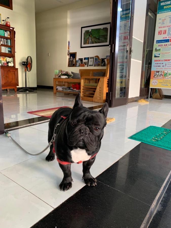 Fireworks Homestay Hội An Ngoại thất bức ảnh